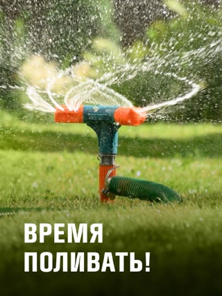 Creative: 756a5f738f136c8b576962a37c6848ab