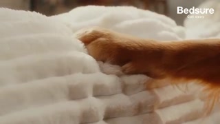 Creative: 75b093d68eb663b0bd95e0568a5467b9