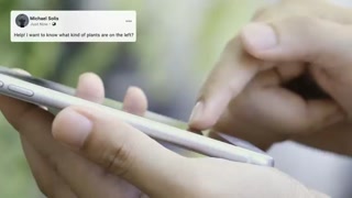 Creative: 76a71ebe13fdf43c40d30c8b5c15aa97