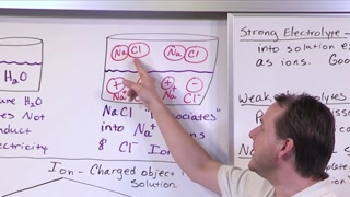 Creative: 776ace04c25f2881bdd2cec414edba86