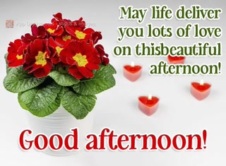 Creative: 7834cde333d70176796a7a77416c45c7