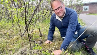 Creative: 7a437b07cb78542c7fc20d11e9cf68d9