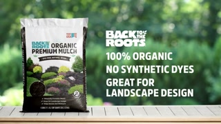 Creative: 7aa196cf0bd02eb9991d44dfbe5fd59a