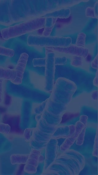 Creative: 7c471c1d5c01a7c2b907194a28495fca