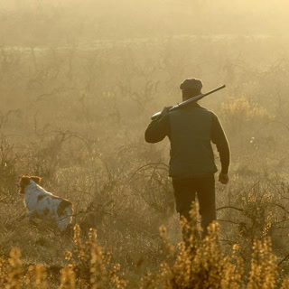 Creative: 7dc0d8c75f535962c4fa7d4d00a5136b