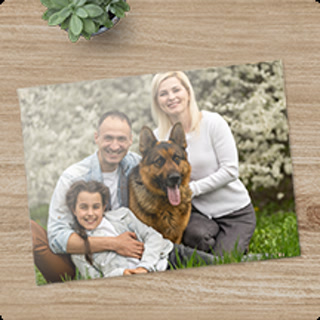 Creative: 7de2c8c2a17258a4bcba0ee7a2bf1049