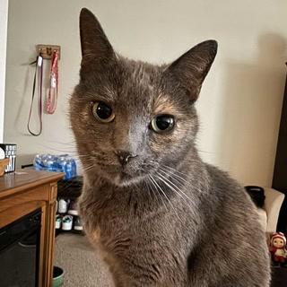 Creative: 7f5aff65610853eb7e0b5b0307711620