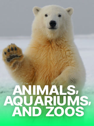 Creative: 7fa9000a90a44d47f35612409e080abe