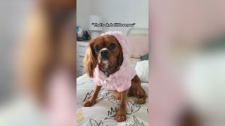 Creative: 7fd248bf0f6ecab0fb8ee748b1c50a46