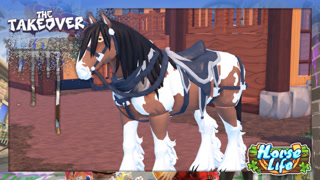 Creative: 81da2c1ea352476f2c690ff121cebef7