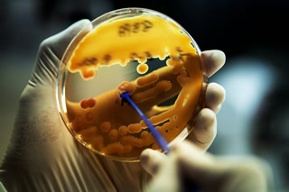 Creative: 82dbb44174e4e83957b9dbdfa9598bab