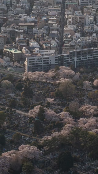 Creative: 82fc21cdb6757c2e8341b60b7b49237a