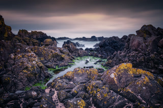 Creative: 83229ba231361d272d8821c6dad70407