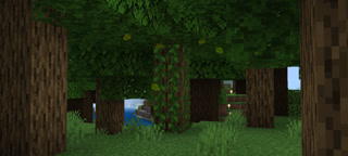 8354a4efc98244e869e824731605d1a5