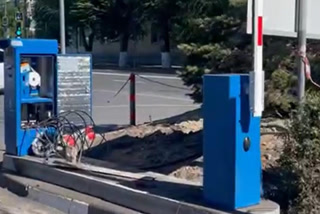 Creative: 83829ab15c4adbbbd8346ac7385db3ba