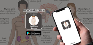 Creative: 85bbf9bb25e4d4b309a7463b623ebd84