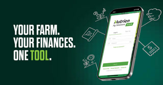 Creative: 862939b5e84267d5907eebc798526f21