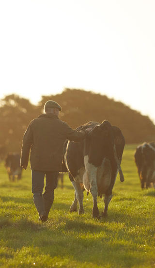 Creative: 86b82e29fa5831deac144ab5eca901f2