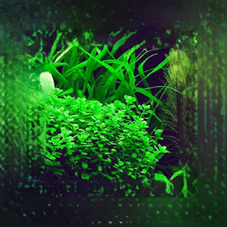 Creative: 86f559245d8f27501edf44a58bb615b5