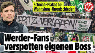 Creative: 873323f8907d925794f40e297593b3ea