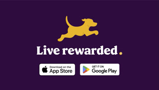 Creative thumbnail for 888726df1e48108236c781472f9fe60d