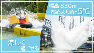 8a7ed94266516a3b07df2d91d18508a1