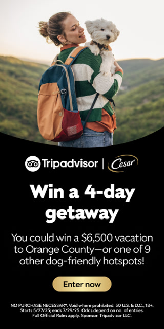 Creative: 8a8d8e15bf9906dd72b70770ef9cd42e