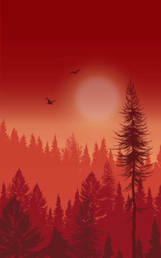 Creative: 8befddc67266bf386fa949873bb271e5