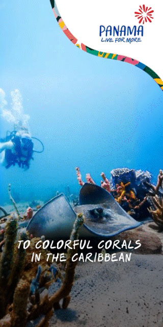 8c180ddb9b69c8724bcfcf817301263a