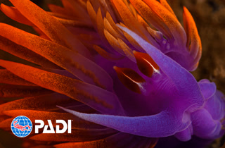 Creative: 8c63db70c7a1a50c4fa7cf06ede596eb