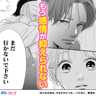 Creative: 8c9e8703abe833004a7e480ab0608b2a