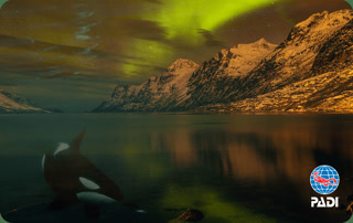 8d01439666c6bd77795522d8c34ef463