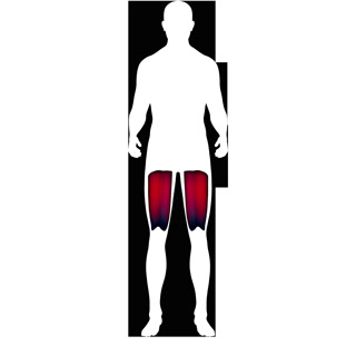 Creative: 8d9c690bfb892befb84d7368e95c12eb