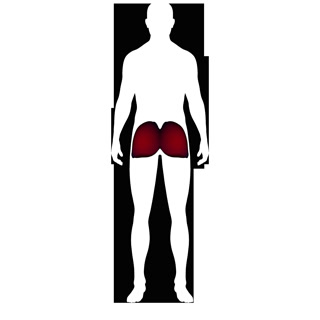 Creative: 8e4ae8f3d6d4964dd3c07d58e69ef65e