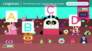 Creative: 8ebedb2b4bce17a3bb2bcfa4eeafc0c8
