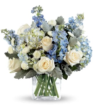 8f7d236b23035f14aa84c700d0d76355