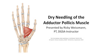 Creative: 9090154f86c73c28f0a89071c4e99d46