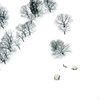 91117692319475f0c0c971379c940b07