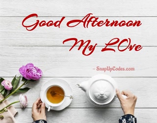 91a600544a7b4a2d0ab3485264f43300