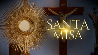 Creative: 9335031db7a28ba2321cc948ef6d1e3a