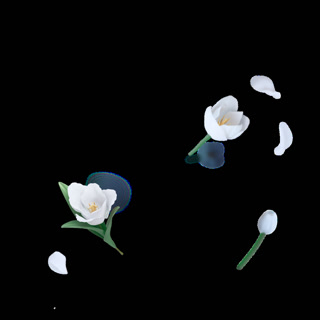 Creative: 93a8e53763ad9570ed1411d10a212b94