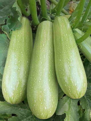 Creative: 93d5cd3056144f756f376d5448cf2355