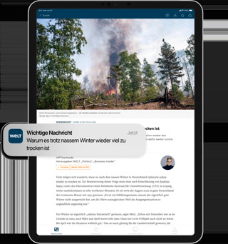 Creative: 9400ab63a982b6cbc25d21ec52746e35