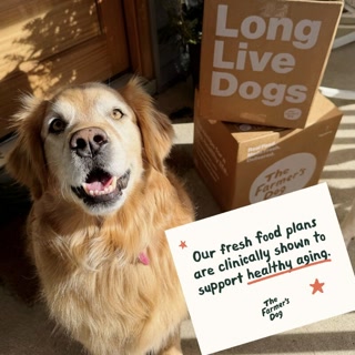 Creative: 9427651b173d6fb84f7eeac6f78fb5a5