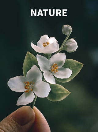 Creative: 94f768bcf6896c829a30520a69d57aad