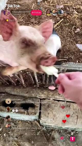 Creative: 974acf342323f11647228826f346dbbd