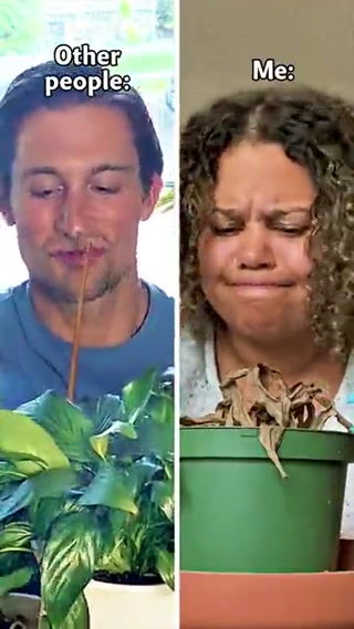 Creative: 980250781c62646c66514758f6f5103d