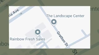 Creative: 981c77d43adf9dae196bfba9006e9d82