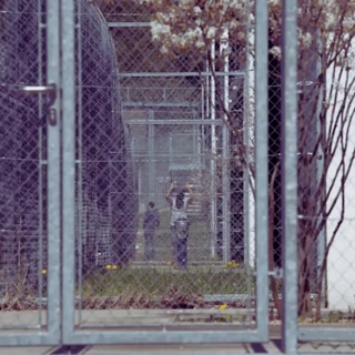 Creative: 9891d4465cae09ae625e3c6e77e0d89e