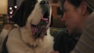 Creative: 993cbee716545dc685297e32d5ec0c9b